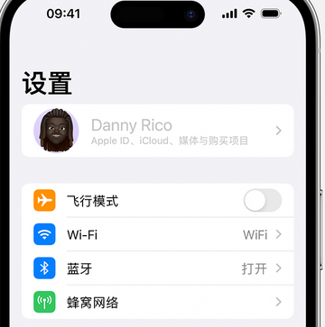 宝丰appleID维修服务iPhone设置中Apple ID显示为灰色无法使用 