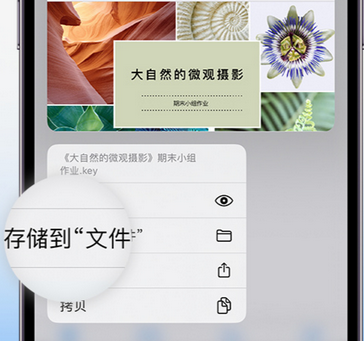 宝丰apple维修中心分享iPhone文件应用中存储和找到下载文件