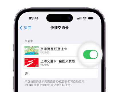 宝丰apple维修点分享iPhone上更换Apple Pay快捷交通卡手绘卡面 