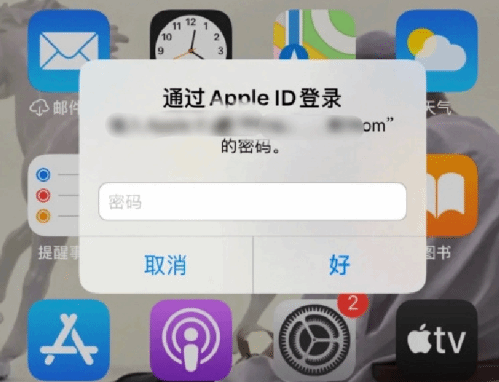 宝丰苹果设备维修分享无故多次要求输入AppleID密码怎么办 