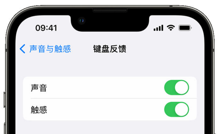 宝丰苹果手机维修分享iPhone 14触感键盘使用方法 