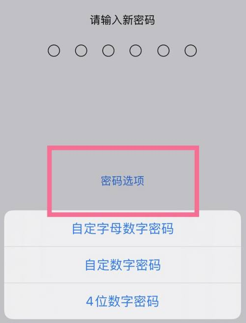 宝丰苹果14维修分享iPhone 14plus设置密码的方法 