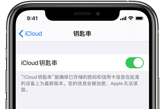 宝丰苹果手机维修分享在 iPhone 上开启 iCloud 钥匙串之后会储存哪些信息 