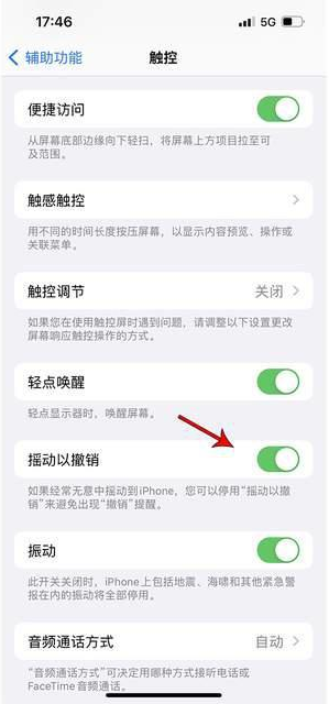 宝丰苹果手机维修分享iPhone手机如何设置摇一摇删除文字 