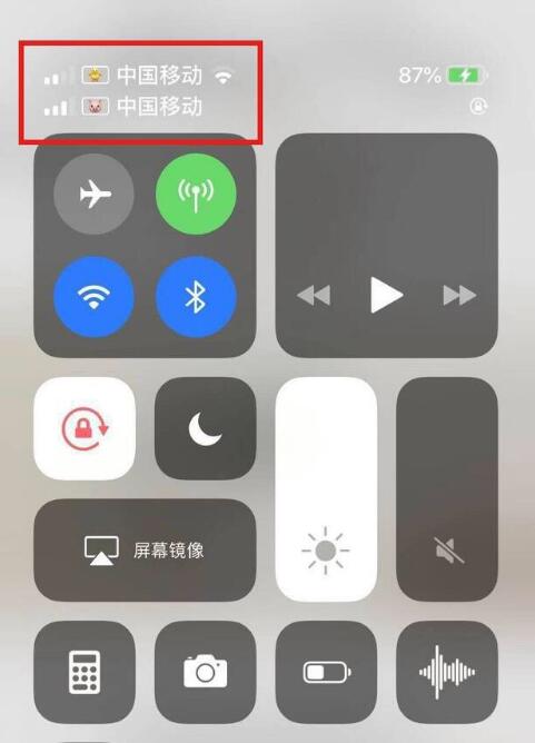 宝丰苹果手机维修分享为 iPhone 12 双卡设置标签 